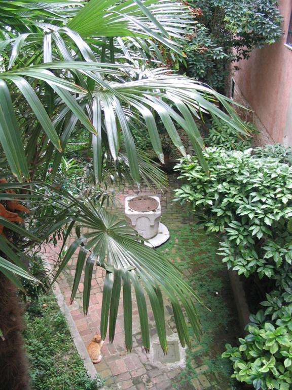 Ca' Turelli Dimora Storica Hotel Venice Exterior photo